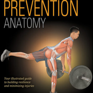 sport injury prevention anatomy